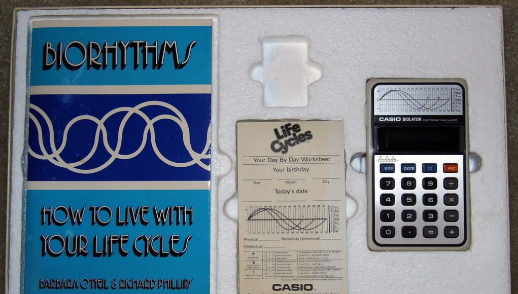 Vintage Casio Biolater Electronic Calculator Set, Model H-801, Made in Japan, Set Includes Calculator, Booklet on 'How t